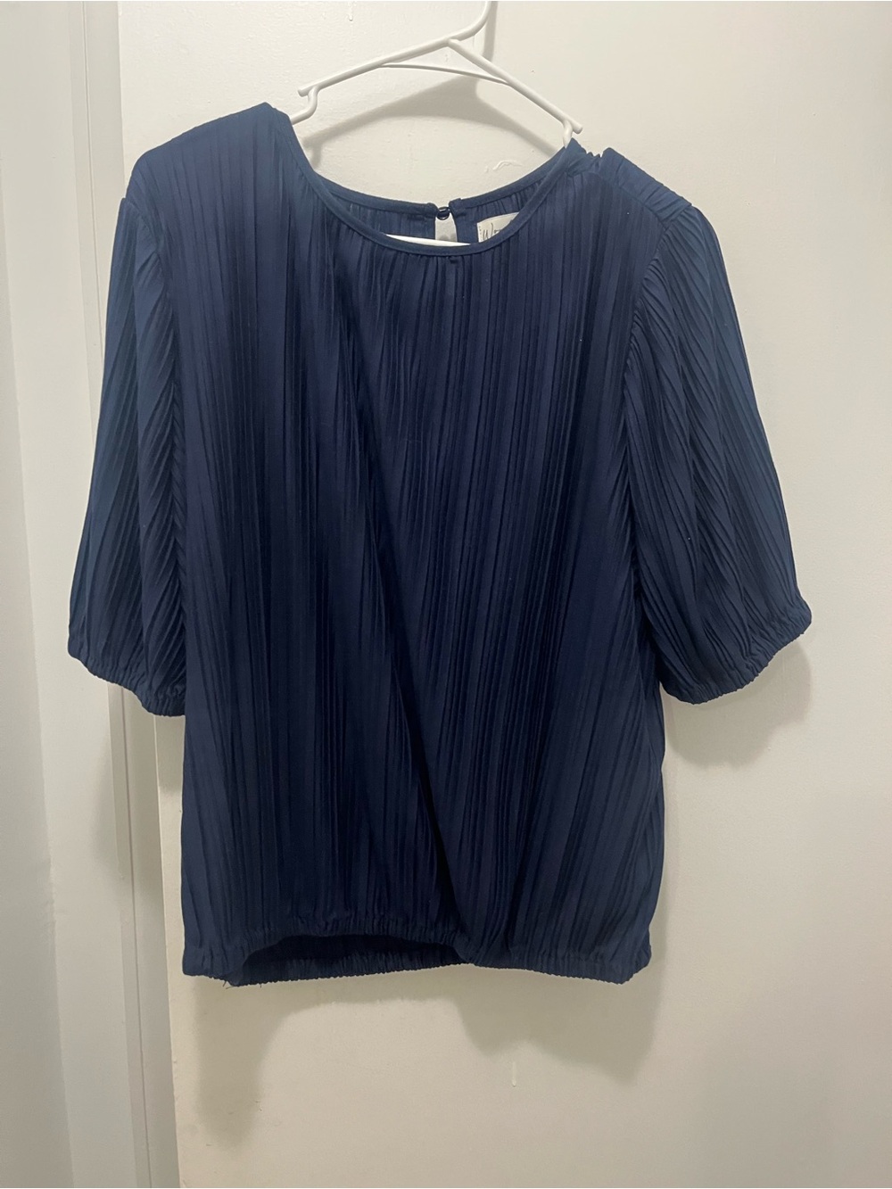 Wonderly Navy Pleated Short Sleeve Blouse